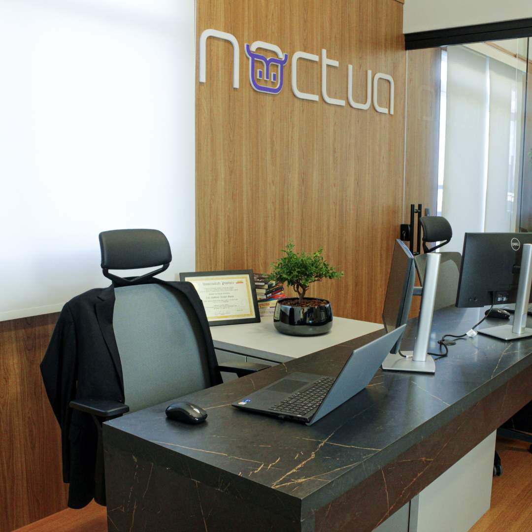 Noctua 001 (1)