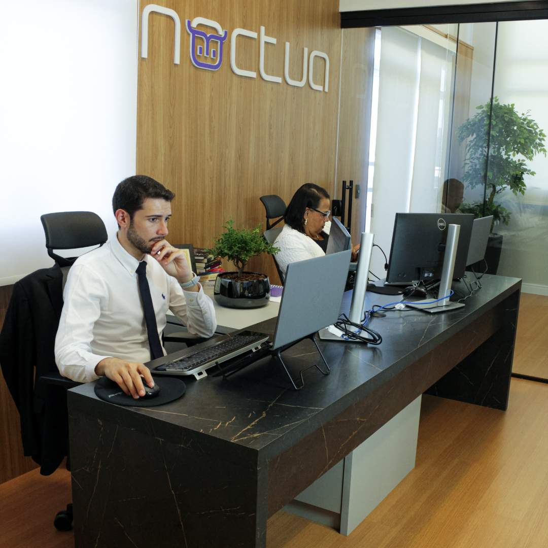 Noctua 001 (5)